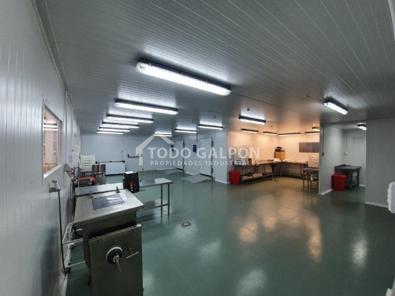 Venta de Galpón Industrial - Semiindustrial ( Mixta ) - El Trebol - Padre Hurtado.